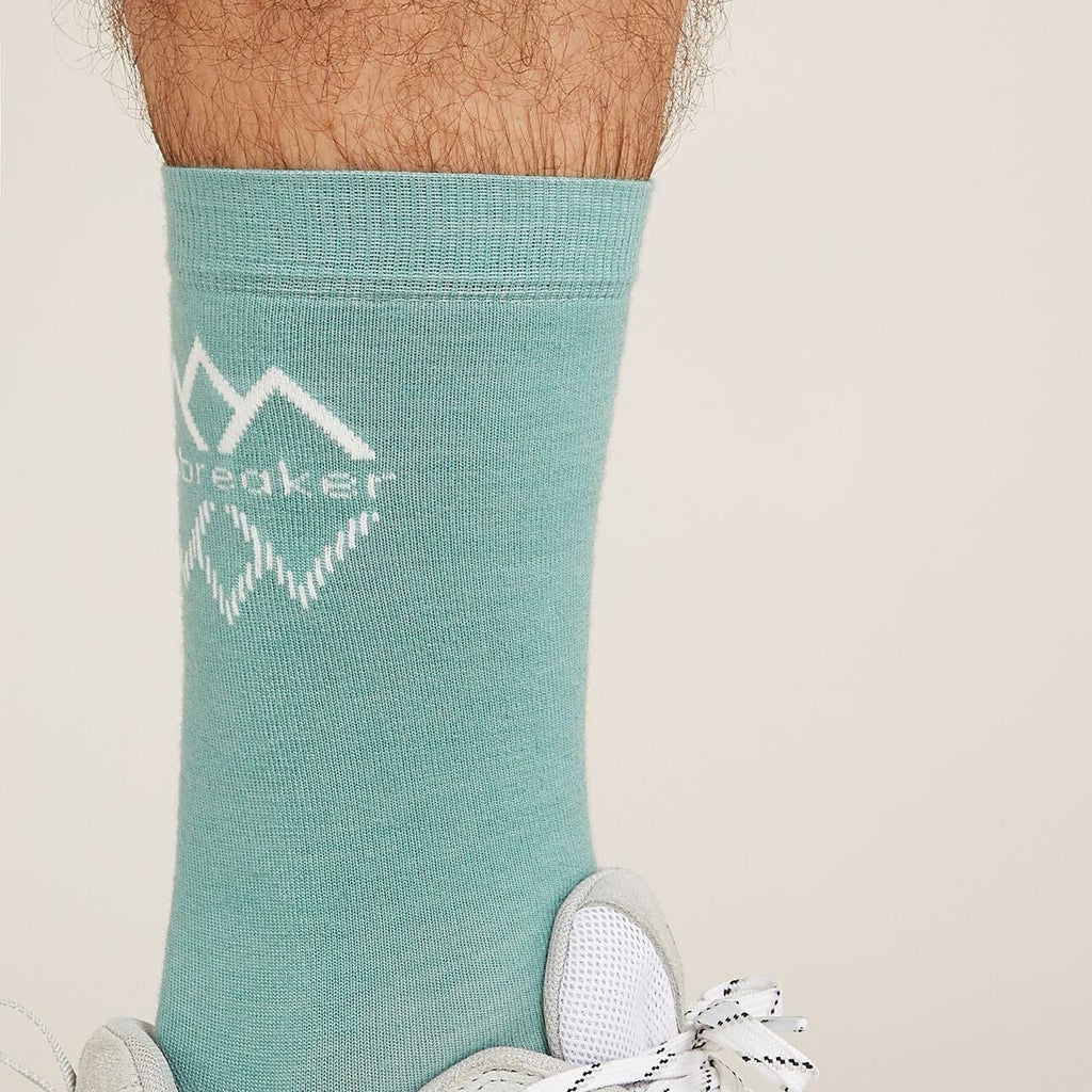 Men&#39;s Icebreaker Merino Lifestyle Fine Gauge Crew IB Logo Reflections Socks Cloud Ray/Snow